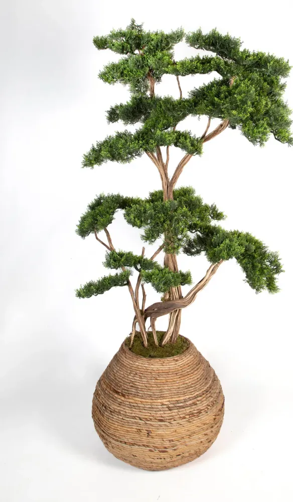Bonsai Yapay Ağaç Bitki, görsel 10