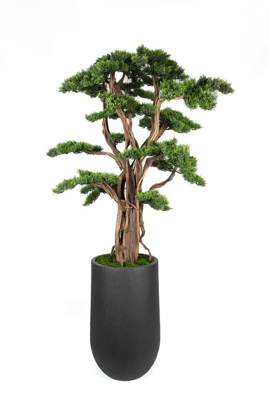 Bonsai Yapay Ağaç Bitki, görsel 11