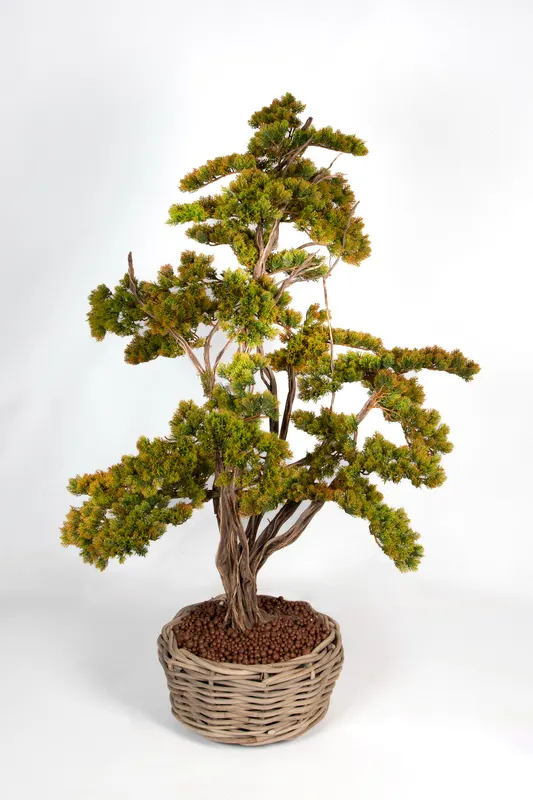 Bonsai Yapay Ağaç Bitki, görsel 14