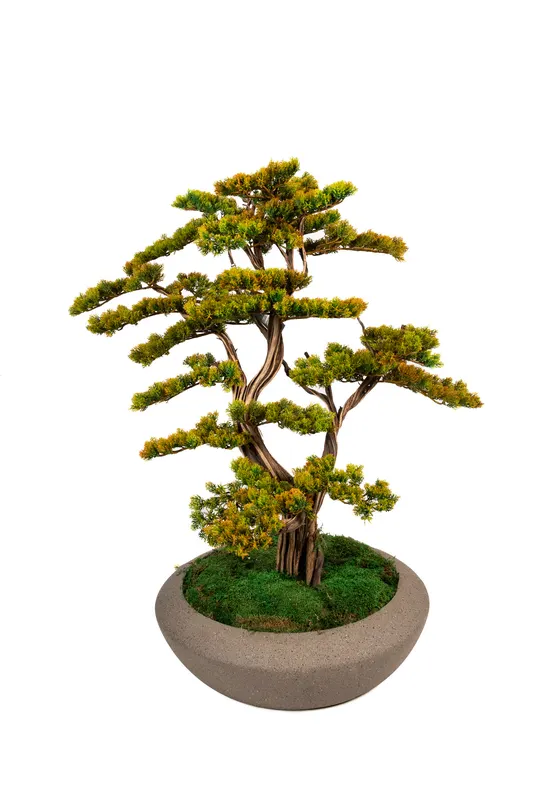 Bonsai Yapay Ağaç Bitki, görsel 16