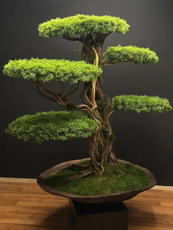Bonsai Yapay Ağaç Bitki, görsel 19
