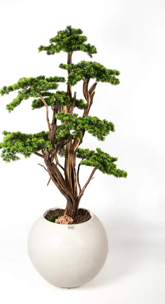 Bonsai Yapay Ağaç Bitki, görsel 20