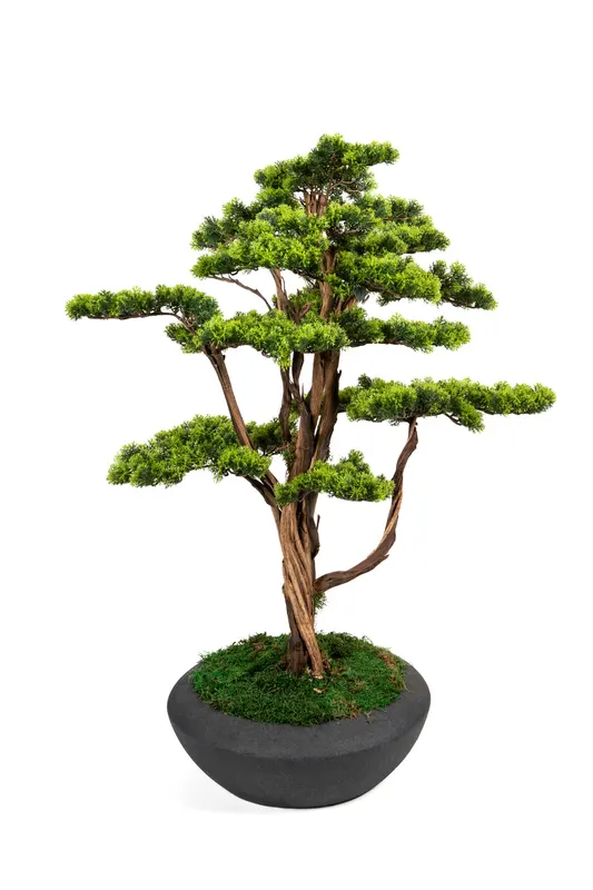 Bonsai Yapay Ağaç Bitki, görsel 21