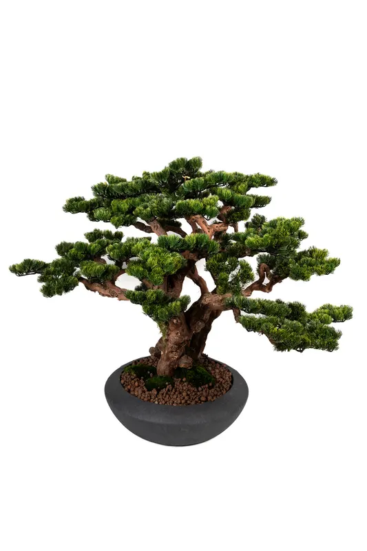 Bonsai Yapay Ağaç Bitki, görsel 23