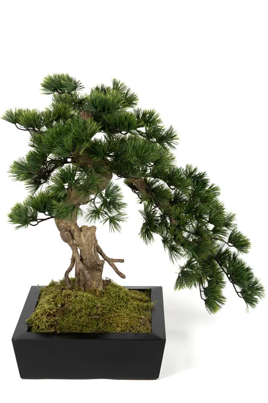 Bonsai Yapay Ağaç Bitki, görsel 25