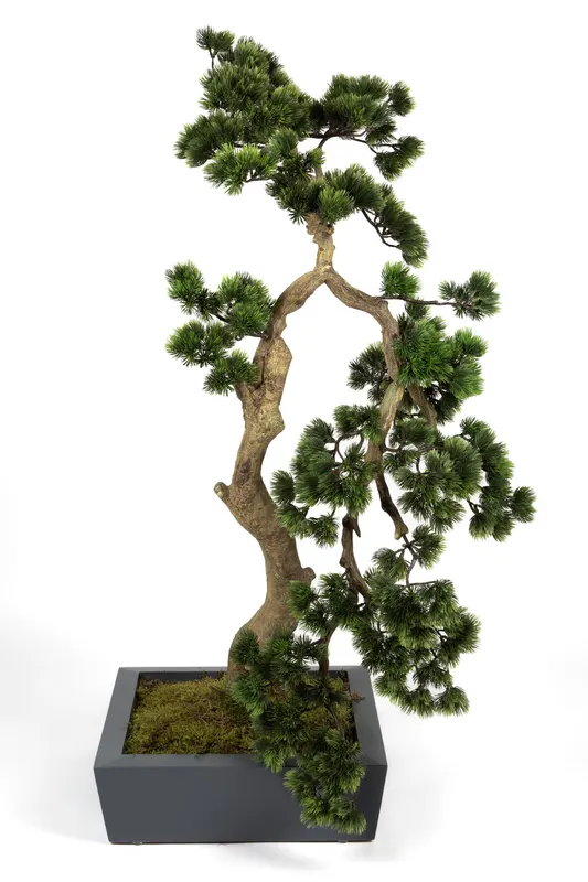 Bonsai Yapay Ağaç Bitki, görsel 26