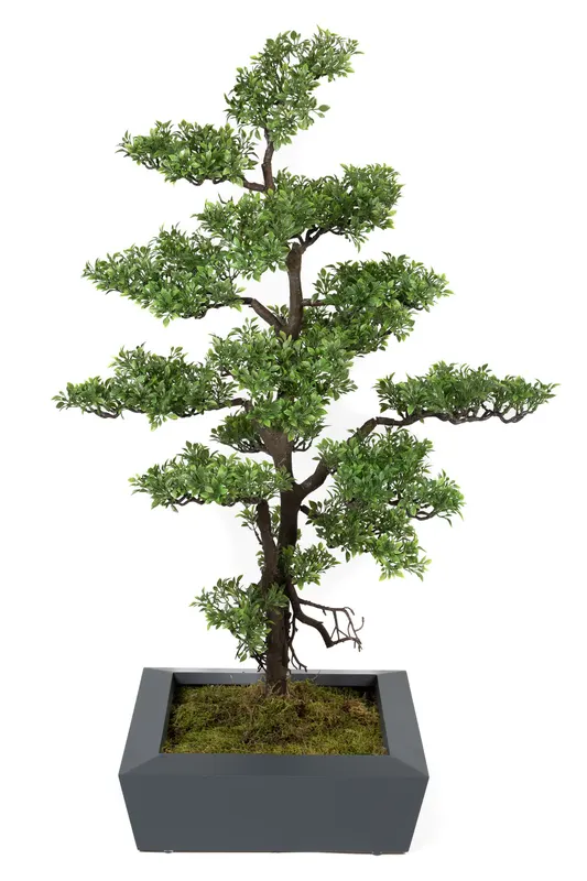 Bonsai Yapay Ağaç Bitki, görsel 28