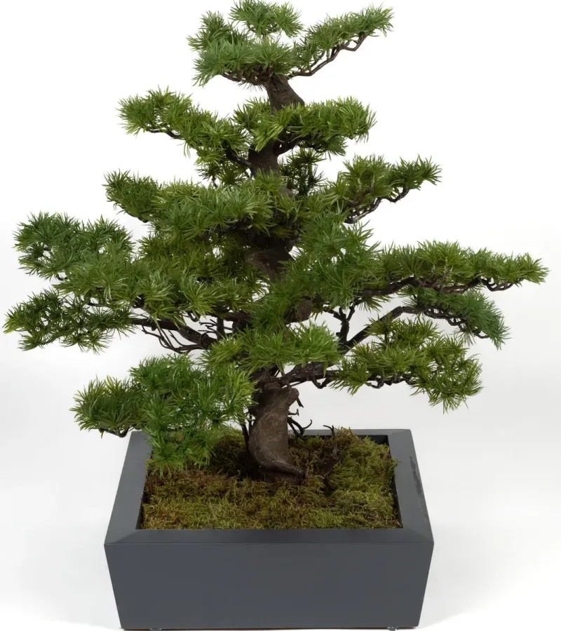 Bonsai Yapay Ağaç Bitki, görsel 29