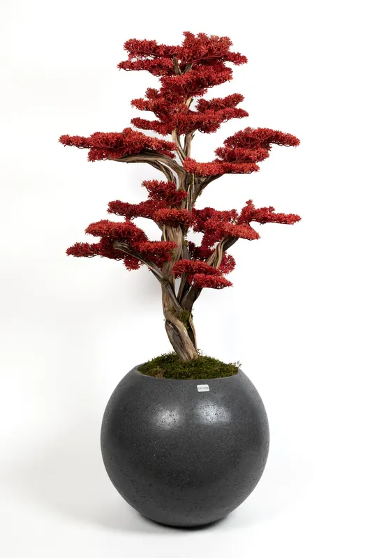 Bonsai Yapay Ağaç Bitki, görsel 31