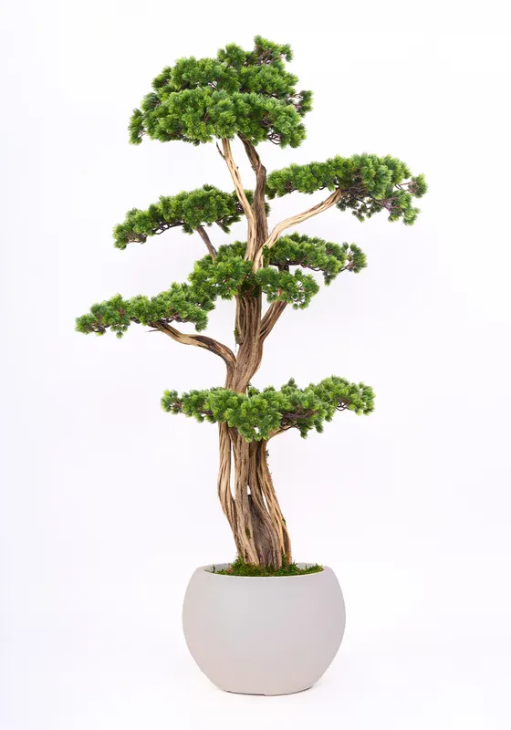 Bonsai Yapay Ağaç Bitki, görsel 32
