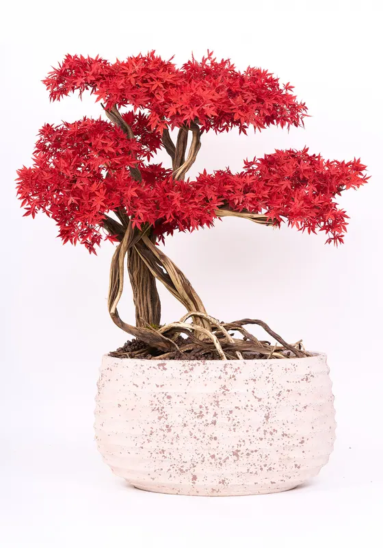 Bonsai Yapay Ağaç Bitki, görsel 33
