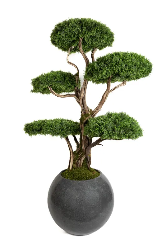 Bonsai Yapay Ağaç Bitki, görsel 35