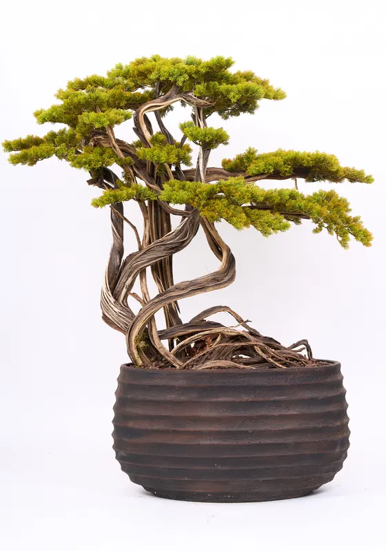 Bonsai Yapay Ağaç Bitki, görsel 36