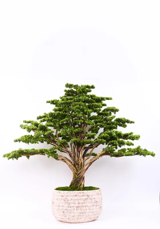 Bonsai Yapay Ağaç Bitki, görsel 4