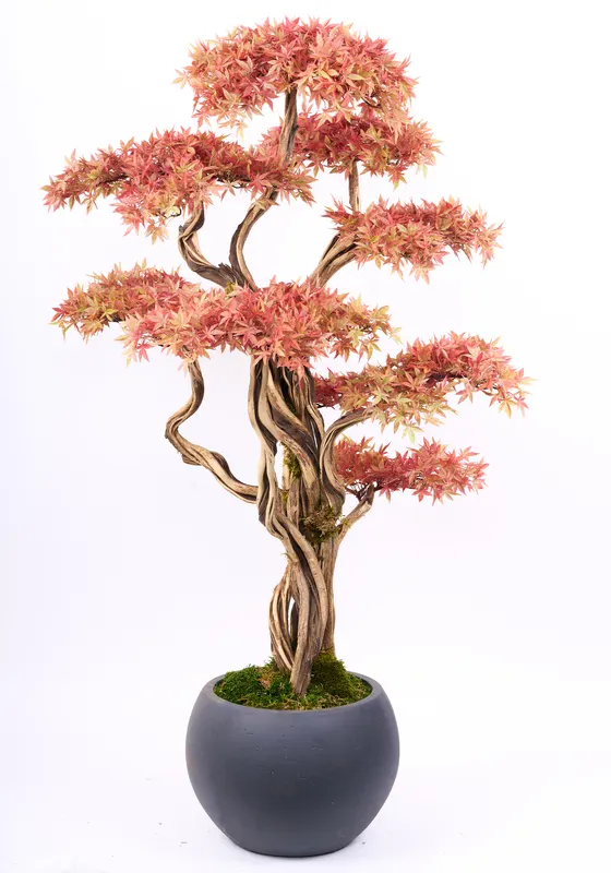 Bonsai Yapay Ağaç Bitki, görsel 5